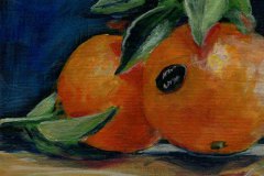 0006-Mandarinen_klein