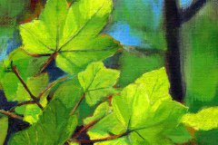 0010-Blattstudie-tn