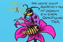 Weste