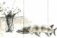 48838874632_20cd218a09_c