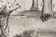 48839054636_79d885af9a_c