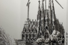 48846173376_c878438d47_c