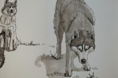 48892227588_ee7d5e586a_c