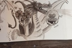 48892963807_9a706e0948_k