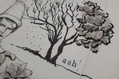 70612674_469404983772162_4186243068281487132_n