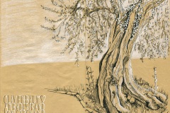 Olivenbaum