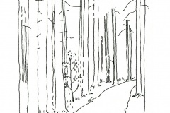 Nadelwald-Tusche