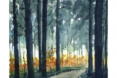 Nadelwald-aquarell2